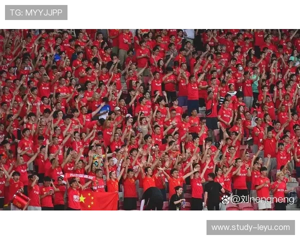 国家队逆转夺冠点燃全城激情书写赛季传奇篇章创造历史新辉煌时刻