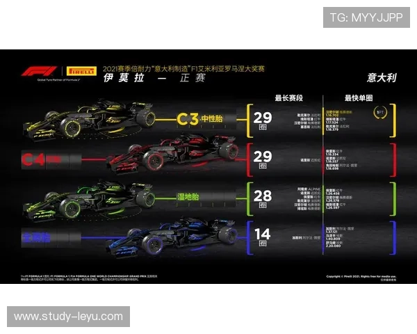 F1赛季最新动态：车队策略与赛道表现全面解析